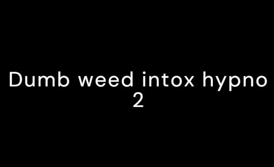 Dumb Weed Intox Hypno 2