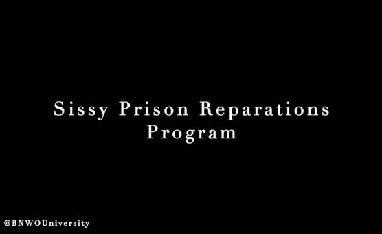 Sissy Prison Reparations Program
