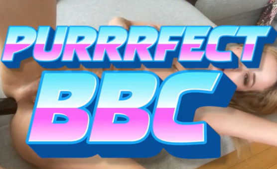 Purrrfect BBC