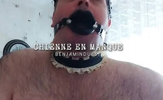 Chienne En Manque
