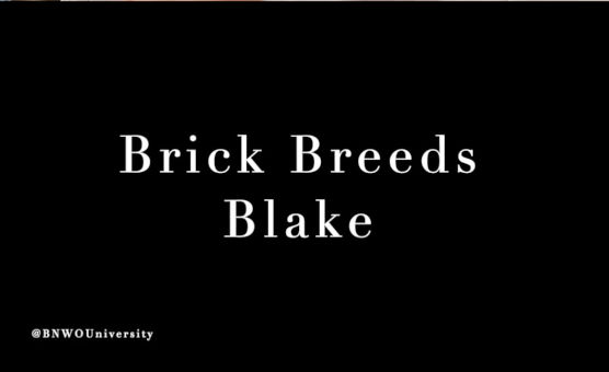 Brick Breeds Blake