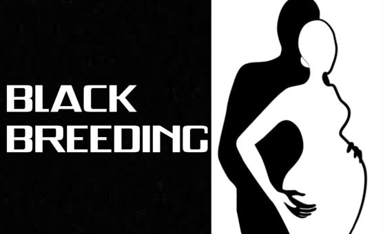 Black Breeding