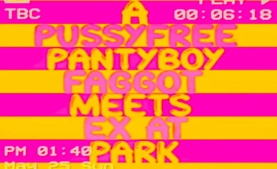 A PussyFree Pantyboy Faggot Meets Ex At Park
