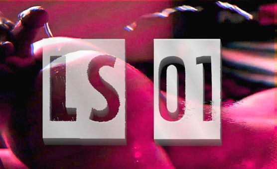 LS 01
