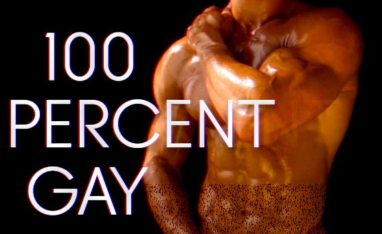 100 Percent Gay