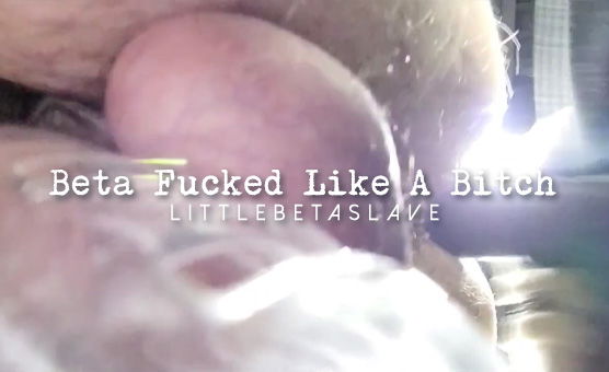 Beta Fucked Like A Bitch