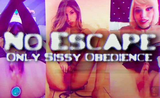 No Escape Only Sissy Obedience