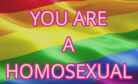 You Are A Homosexual