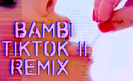 Bambi Tiktok 2 Remix - Bimbo PMV