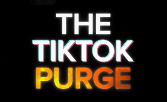 The TikTok Purge