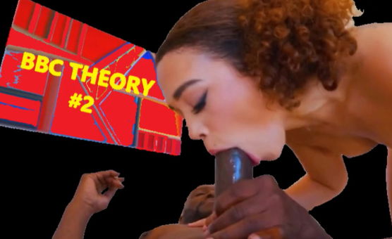  BBC Theory N 2
