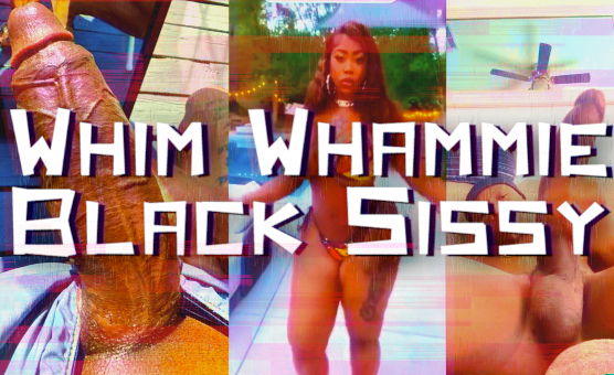 Whim Whammie Black Sissy