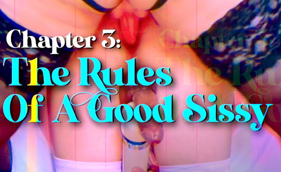 Chapter 3 - The Rules Of A Good Sissy