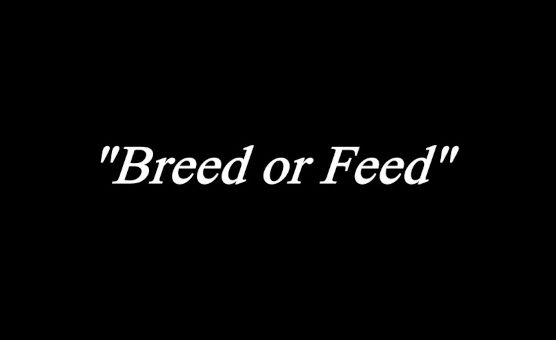 PMV - Breed Or Feed -  Preview