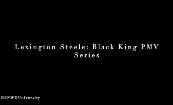 Lexington - Black King PMV Series