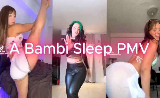 A Bambi Sleep PMV By Velvet Roses