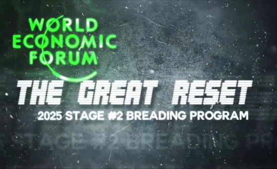 The Great Reset