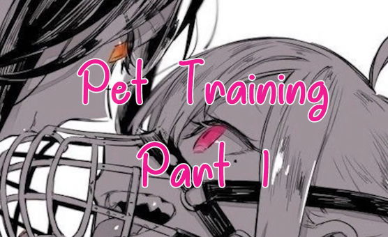 Pet Training 1