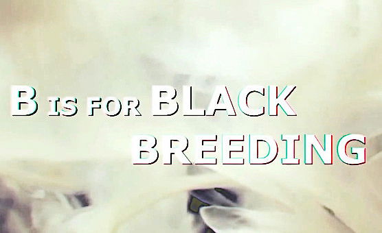 B Is For Black Breeding