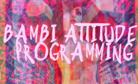 Bambi Attitude Programming