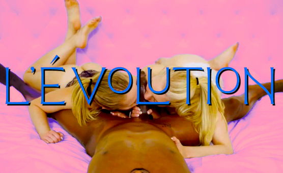 Levolution - French PMV