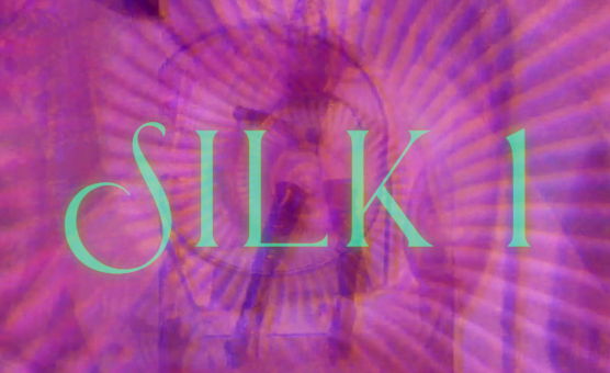 Silk 1