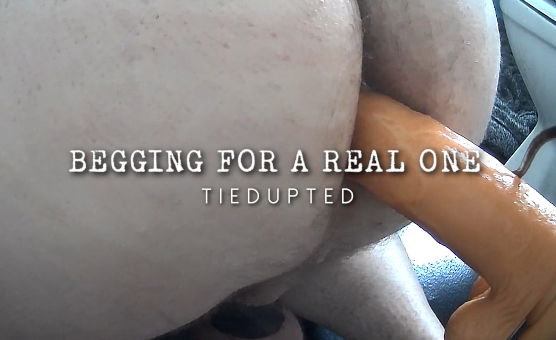 Begging For A Real One