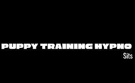 Puppy Training Hypno - Sits