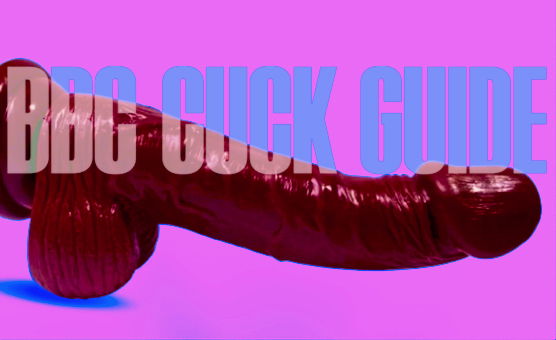 BBC Cuck Guide - Fr