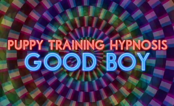Puppy Training Hypnosis - Good Boy