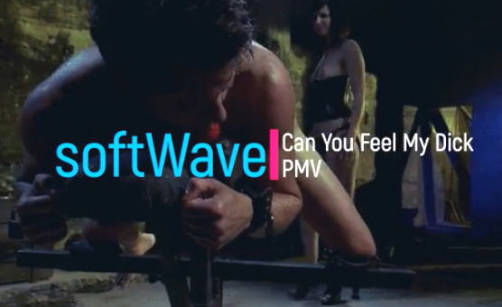 Can You Feel My Dick PMV By Softwave