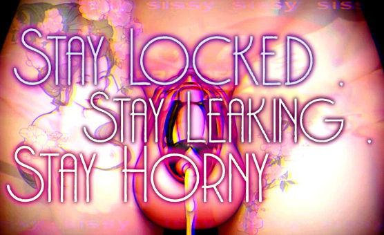 Stay Locked Stay Leaking Stay Horny