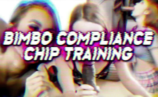 Bimbo Compliance Chip Training