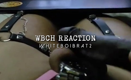 WBCH Reaction