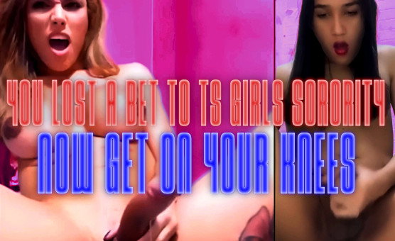 You Lost A Bet To TS Girls Sorority Now Get On Your Knees