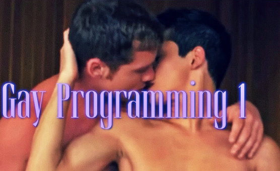 Gay Programming 1