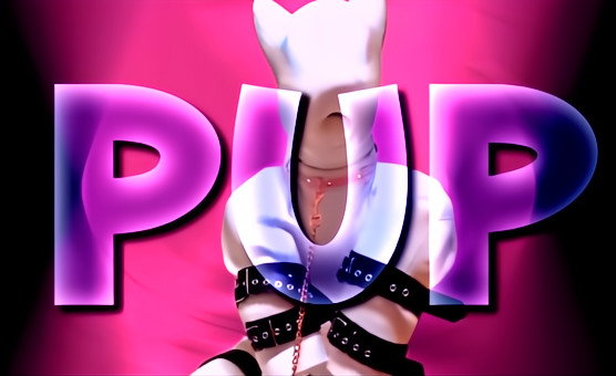 Pup PMV