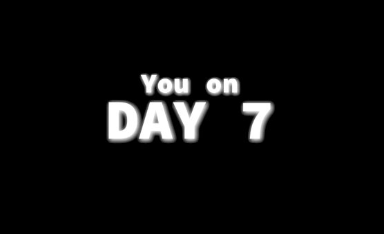 Day 7