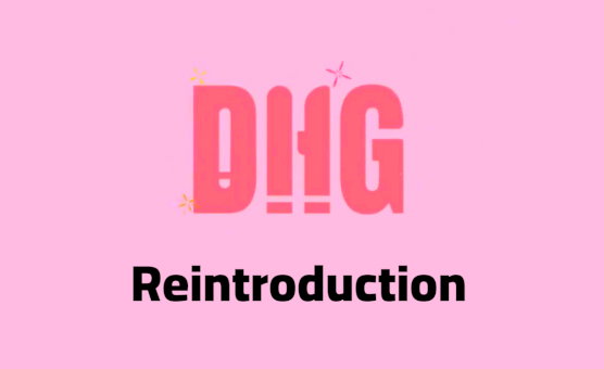 Dildo Hero Games - Reintroduction