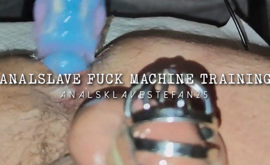 Analslave Fuck Machine Training