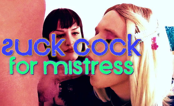 Suck Cock For Mistress