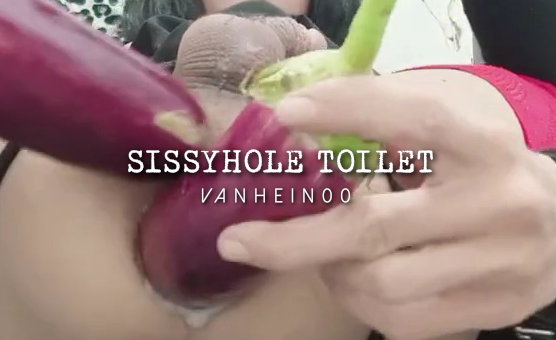 Sissyhole Toilet