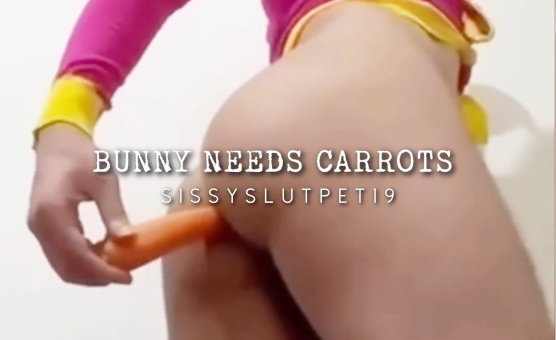 Bunny Needs Carrots