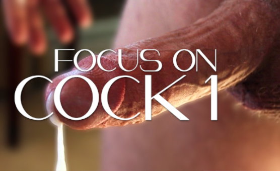 Focus On Cock 1