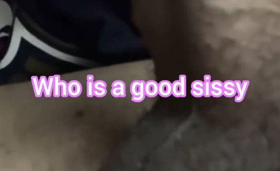 Who Is A Good Sissy