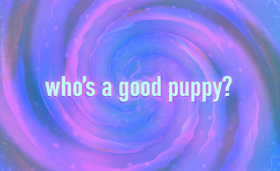Whos A Good Puppy