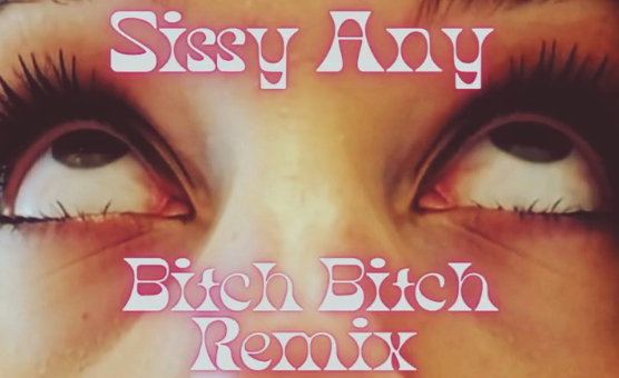 Bitch Bitch Remix