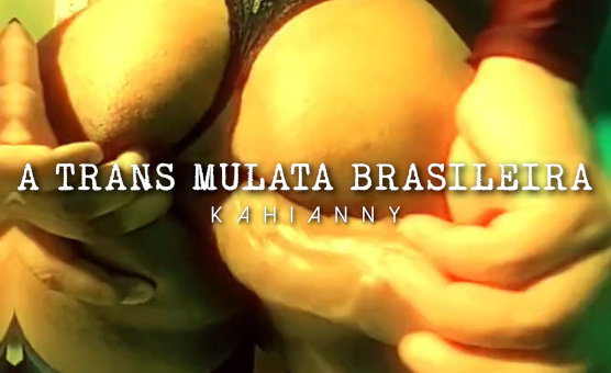 A Trans Mulata Brasileira