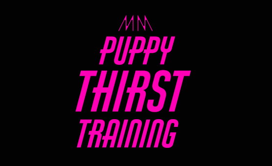 Puppy Thirst Training