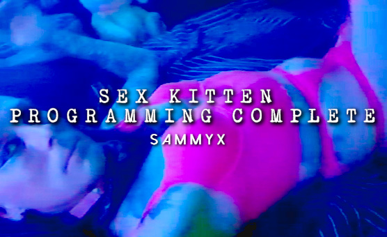 Sex Kitten Programming Complete